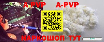 молекула духа Будённовск