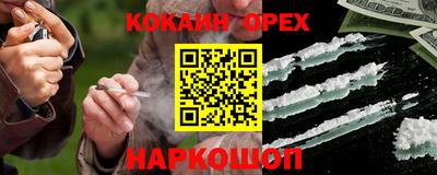 молекула духа Будённовск