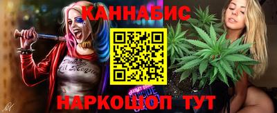 молекула духа Будённовск