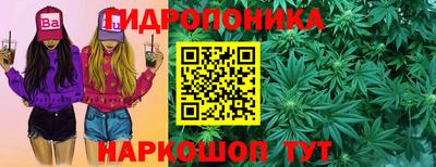 молекула духа Будённовск