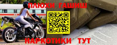 молекула духа Будённовск