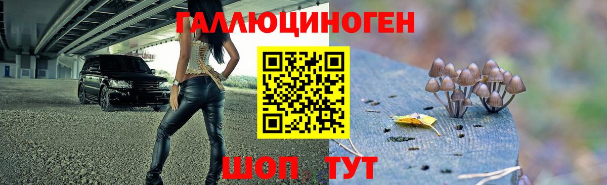 Ленинск-Кузнецкий  Галлюциногенные грибы ЛСД  Псилоцибиновые грибы ЛСД  где купить наркоту  Вход с VPN 